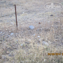 фото из отзыва ID 1027727