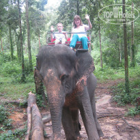 фото из отзыва ID 1029250