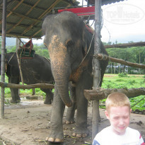 фото из отзыва ID 1029250