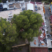 фото из отзыва ID 1025744