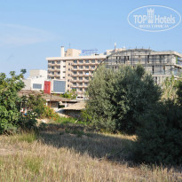 фото из отзыва ID 1025281