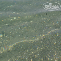 фото из отзыва ID 1025281