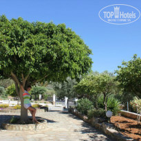 фото из отзыва ID 1030025