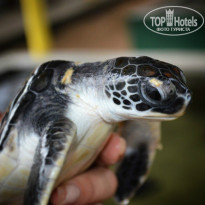 фото из отзыва ID 1030074