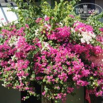 фото из отзыва ID 1030238