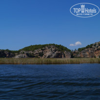 фото из отзыва ID 1030238