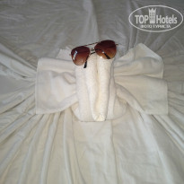 фото из отзыва ID 1030323