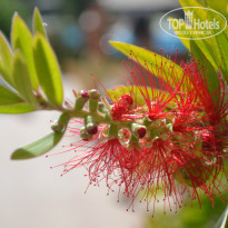 фото из отзыва ID 1030394