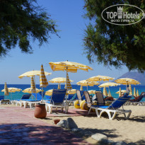 фото из отзыва ID 1030711