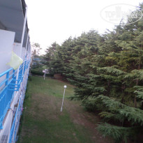 фото из отзыва ID 1030759