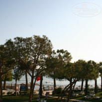 фото из отзыва ID 1031054