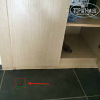 фото из отзыва ID 1031272