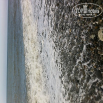 фото из отзыва ID 1031520