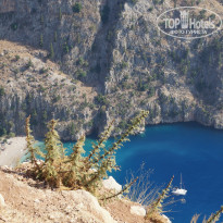 фото из отзыва ID 1030963