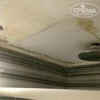 фото из отзыва ID 1031819