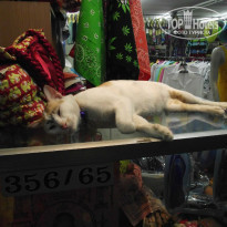 фото из отзыва ID 1031534