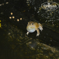 фото из отзыва ID 1031835