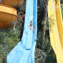 фото из отзыва ID 1031830