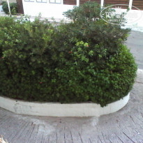 фото из отзыва ID 1031332