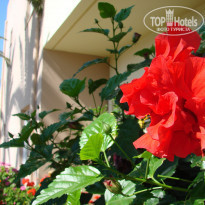 фото из отзыва ID 1030101