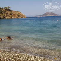 фото из отзыва ID 1032055