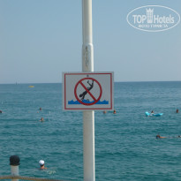 фото из отзыва ID 1032209