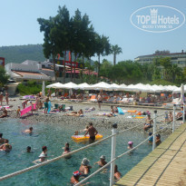 фото из отзыва ID 1032209