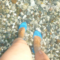 фото из отзыва ID 1032209