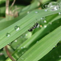 фото из отзыва ID 1032293