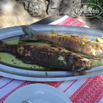 фото из отзыва ID 1032293