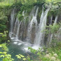 фото из отзыва ID 1032293