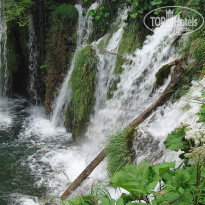 фото из отзыва ID 1032293