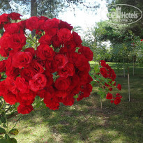фото из отзыва ID 1032293