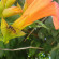 фото из отзыва ID 1032293