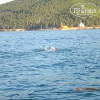 фото из отзыва ID 1032380