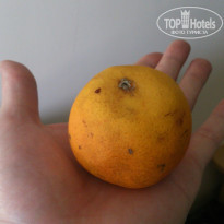 фото из отзыва ID 1032584