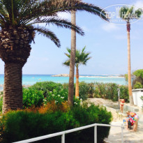 фото из отзыва ID 1032779