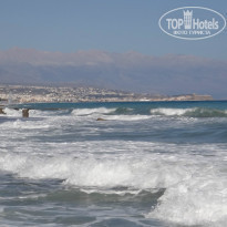 фото из отзыва ID 1032781