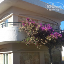 фото из отзыва ID 1032781