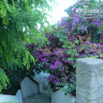 фото из отзыва ID 1032822