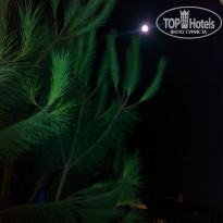 фото из отзыва ID 1032850