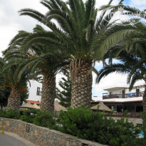 фото из отзыва ID 1033138