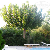 фото из отзыва ID 1033138