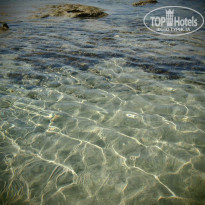 фото из отзыва ID 1034211