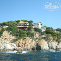 фото из отзыва ID 1034504