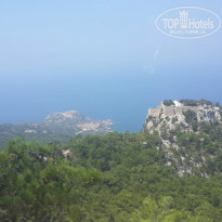 фото из отзыва ID 1034610