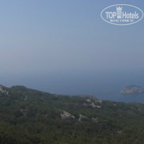 фото из отзыва ID 1034610