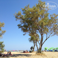 фото из отзыва ID 1033995