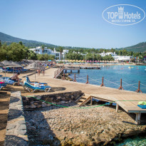 фото из отзыва ID 1034853