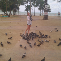 фото из отзыва ID 1035354